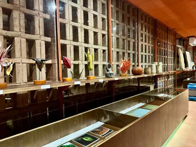 Sala del Museo La Cacaotera con mesas de exhibición