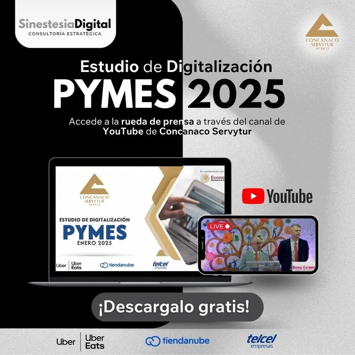 Estudio de Digitalización PYMES 2025